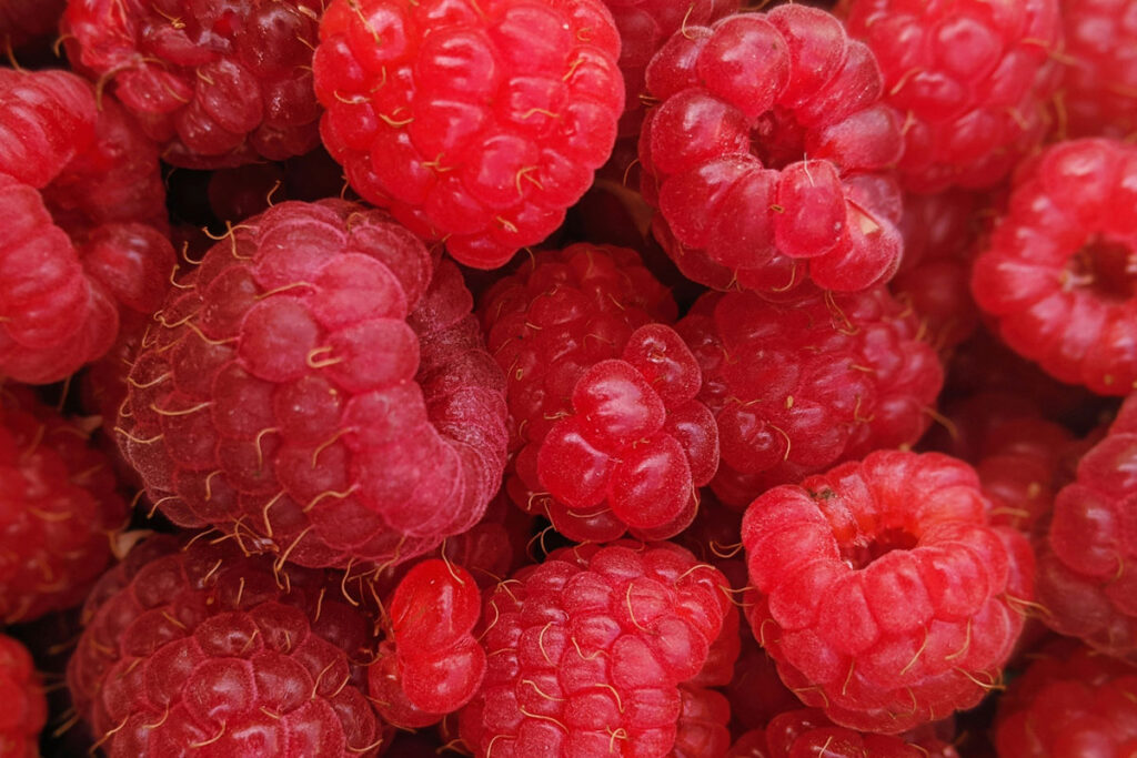 Menopause and Nutrition: Supporting Your Body Through Change